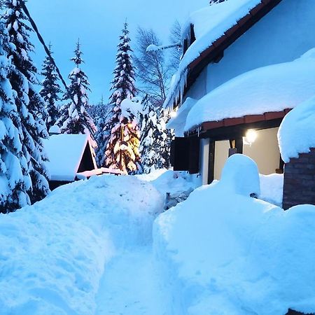 Uki & Sofi Mountain House Hotell Kopaonik Exteriör bild