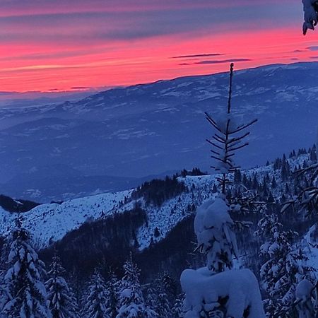 Uki & Sofi Mountain House Hotell Kopaonik Exteriör bild