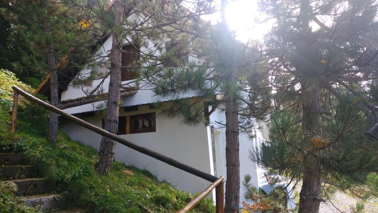 Uki & Sofi Mountain House Hotell Kopaonik Exteriör bild