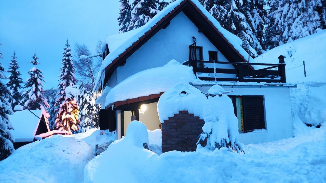 Uki & Sofi Mountain House Hotell Kopaonik Exteriör bild