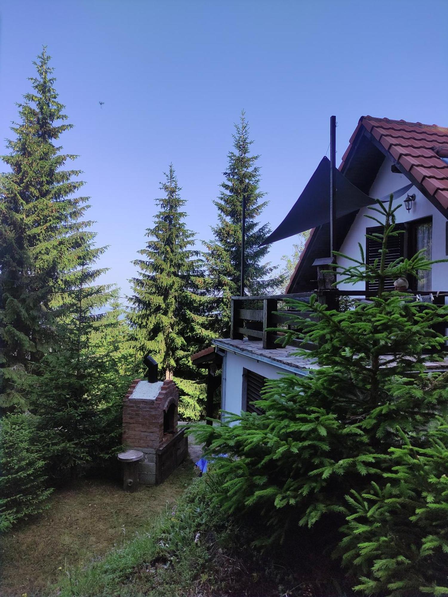 Uki & Sofi Mountain House Hotell Kopaonik Rum bild